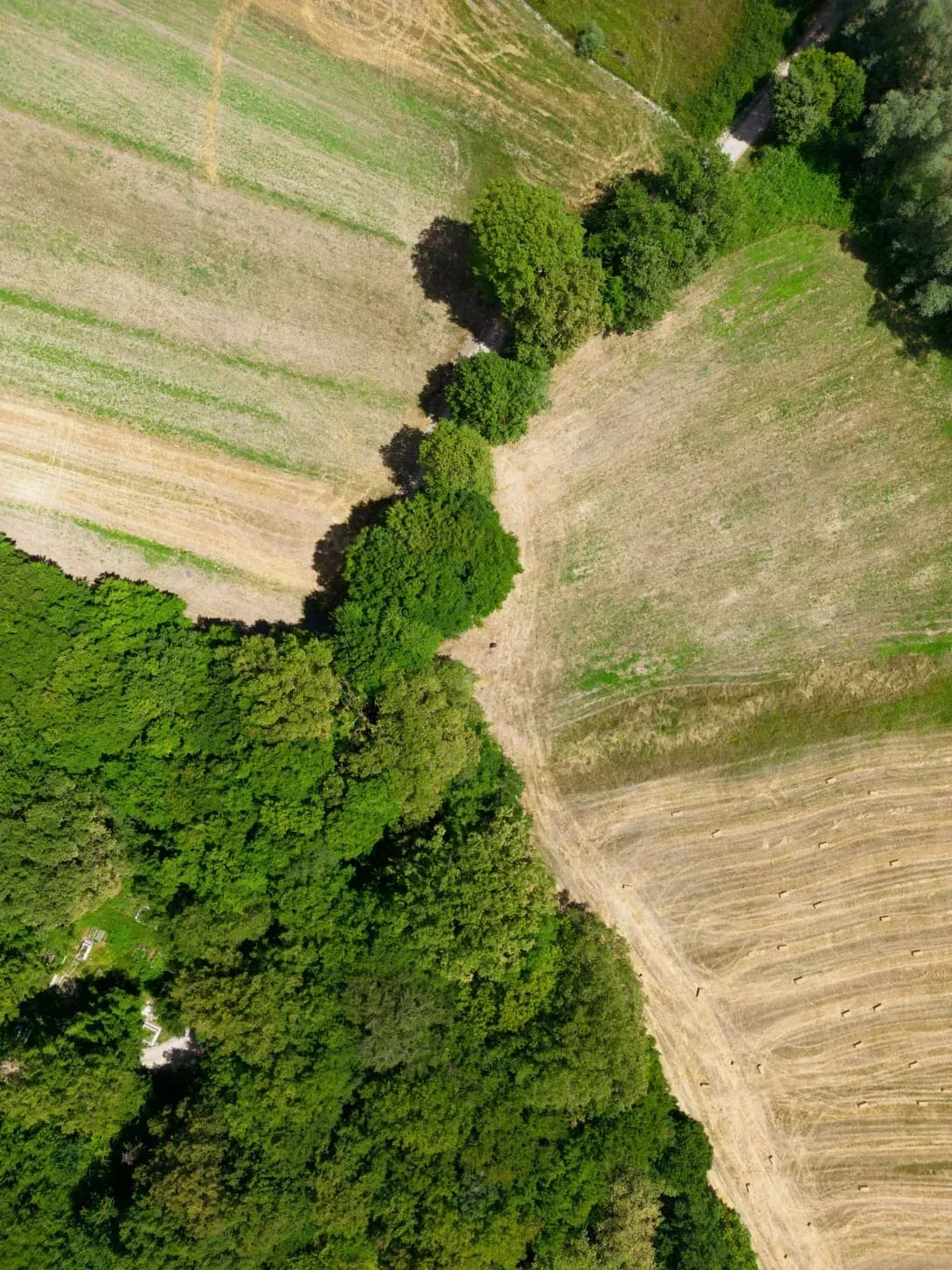 Greenfield Arable 14