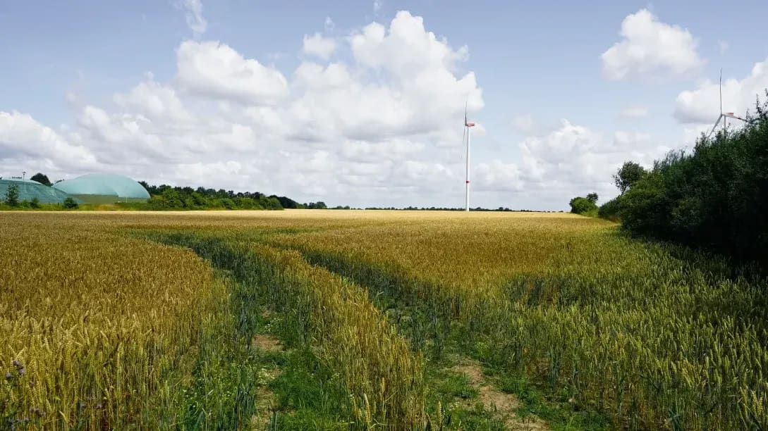 Greenfield Arable 3