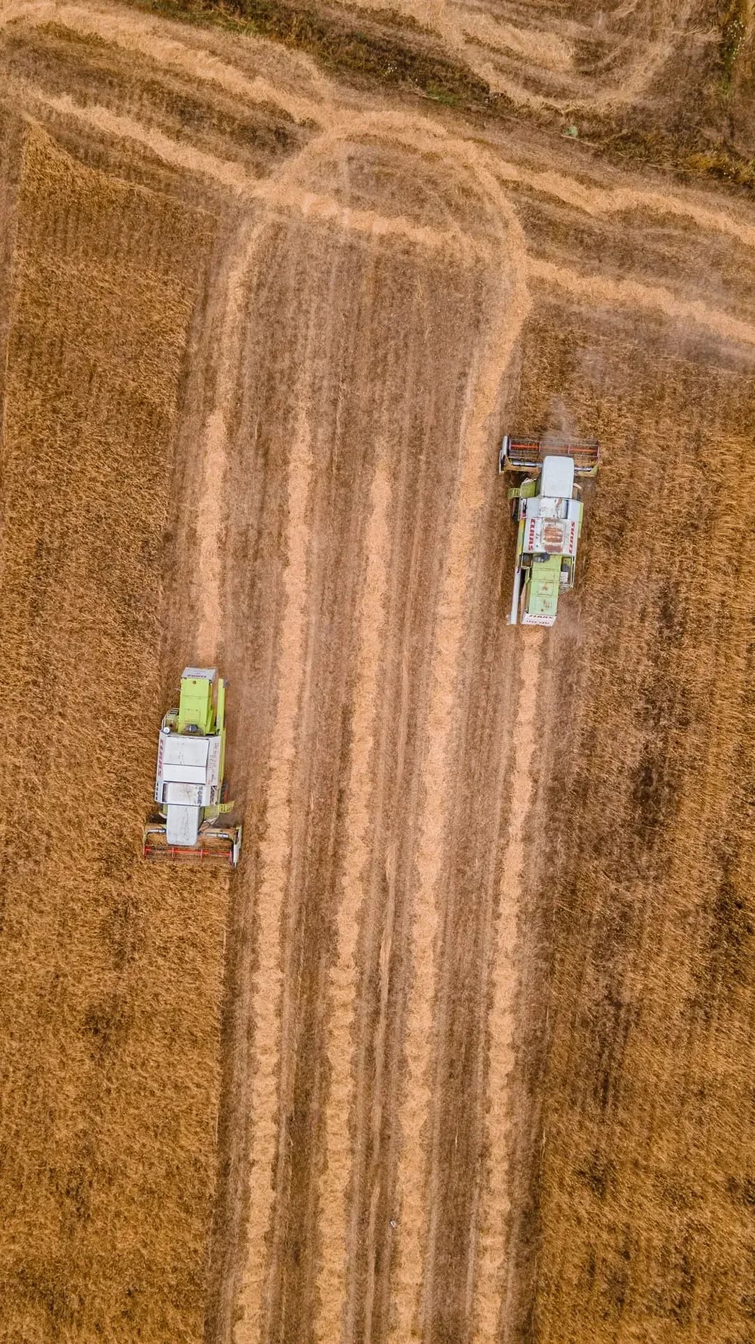 Greenfield Arable 4