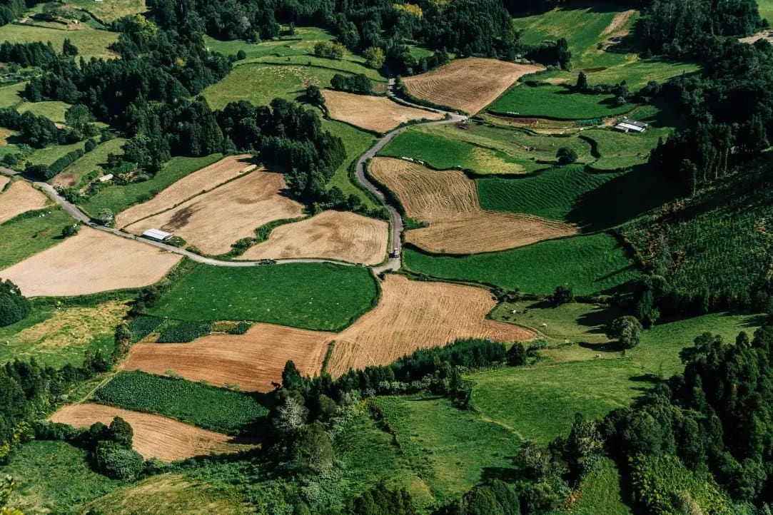 Greenfield Arable 8